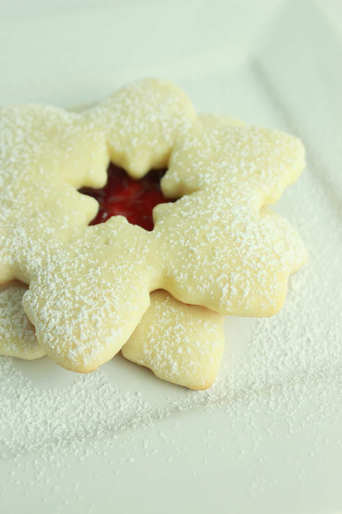 Fun Sugar Cookie Ideas for Christmas featured by top US cookie blogger, Practically Homemade