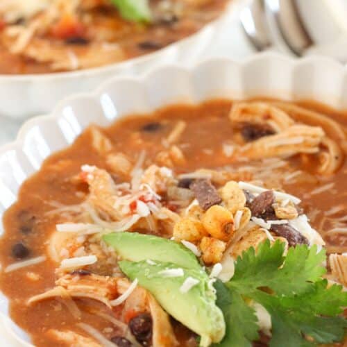 20 Minute Chicken Enchilada Soup - Practically Homemade