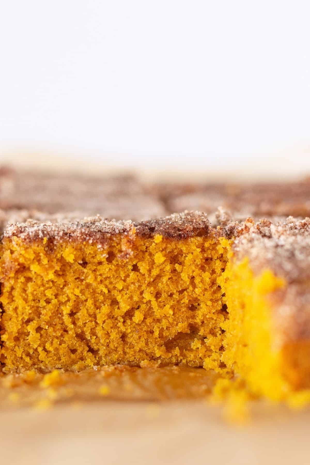 Baked pumpkin snickerdoodle cake.