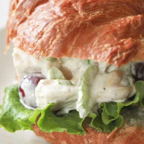 A chicken salad sandwich on a croissant.
