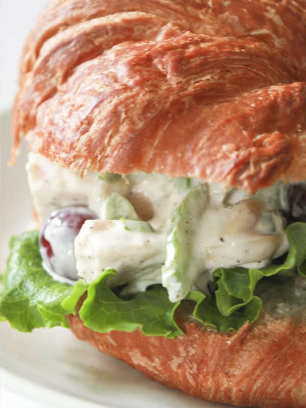 A chicken salad sandwich on a croissant.