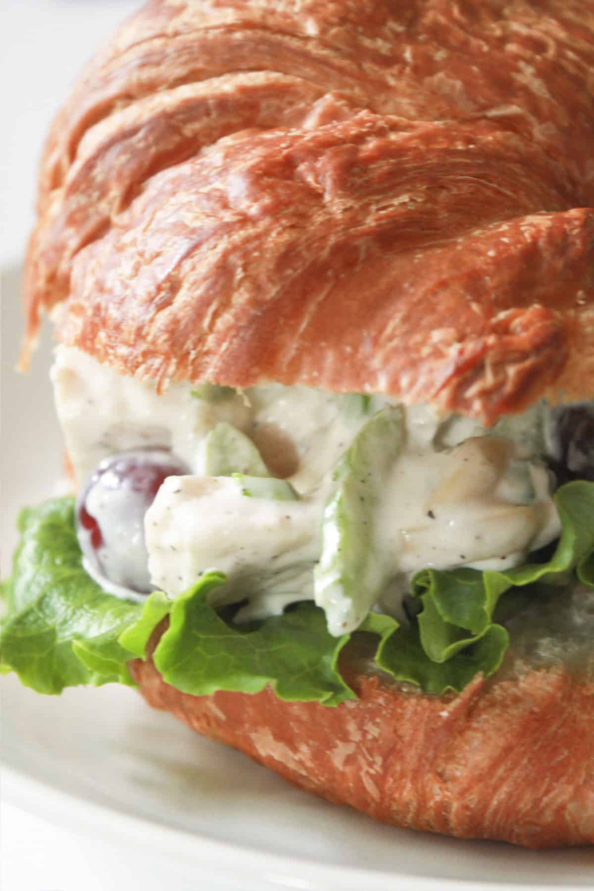 Chicken salad with grapes and almonds on a croissant with lettuce.