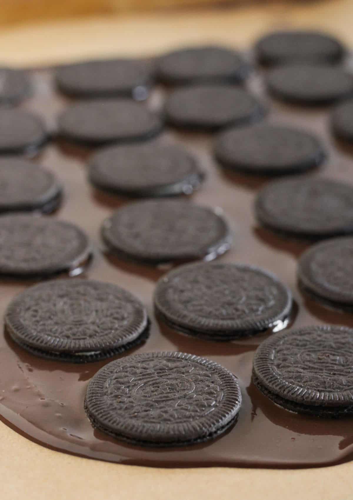 Adding the melted chocolate and Oreos to pan.