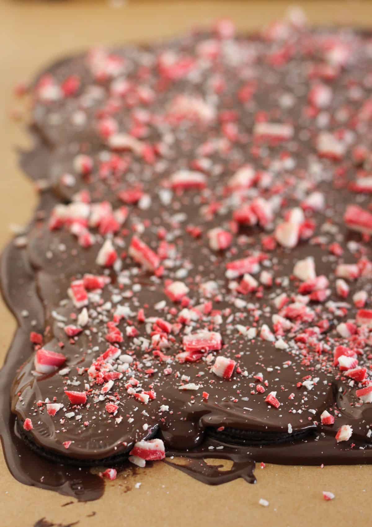 Topping with peppermint candy.
