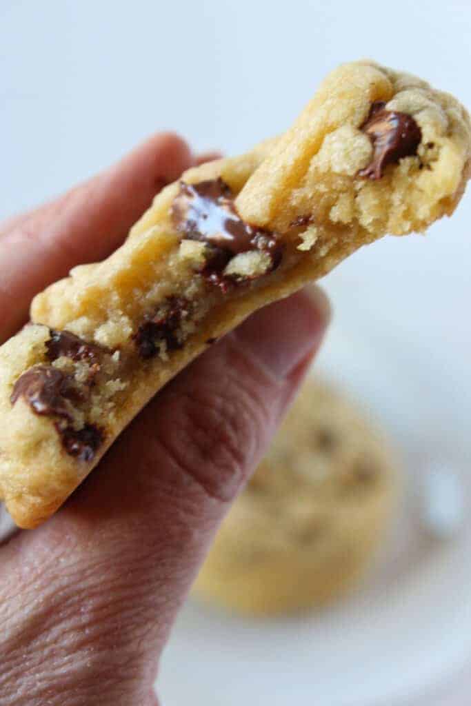 The Best Soft Chocolate Chip Cookie Recipe | Practically Homemade