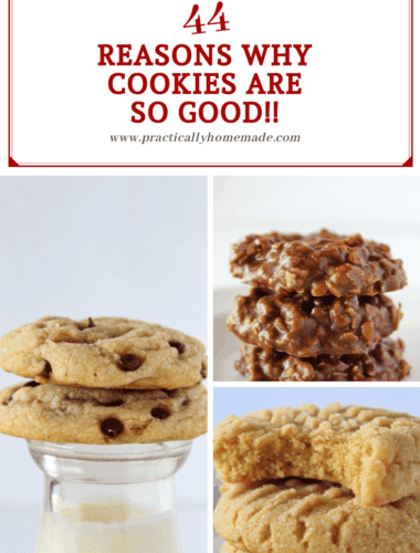 44 Reasons Why Cookies are SO Good, a fun post featured by top US cookie blog, Practically Homemade