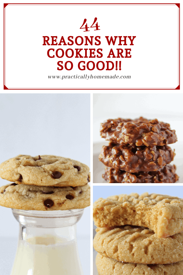 44 Reasons Why Cookies are SO Good, a fun post featured by top US cookie blog, Practically Homemade