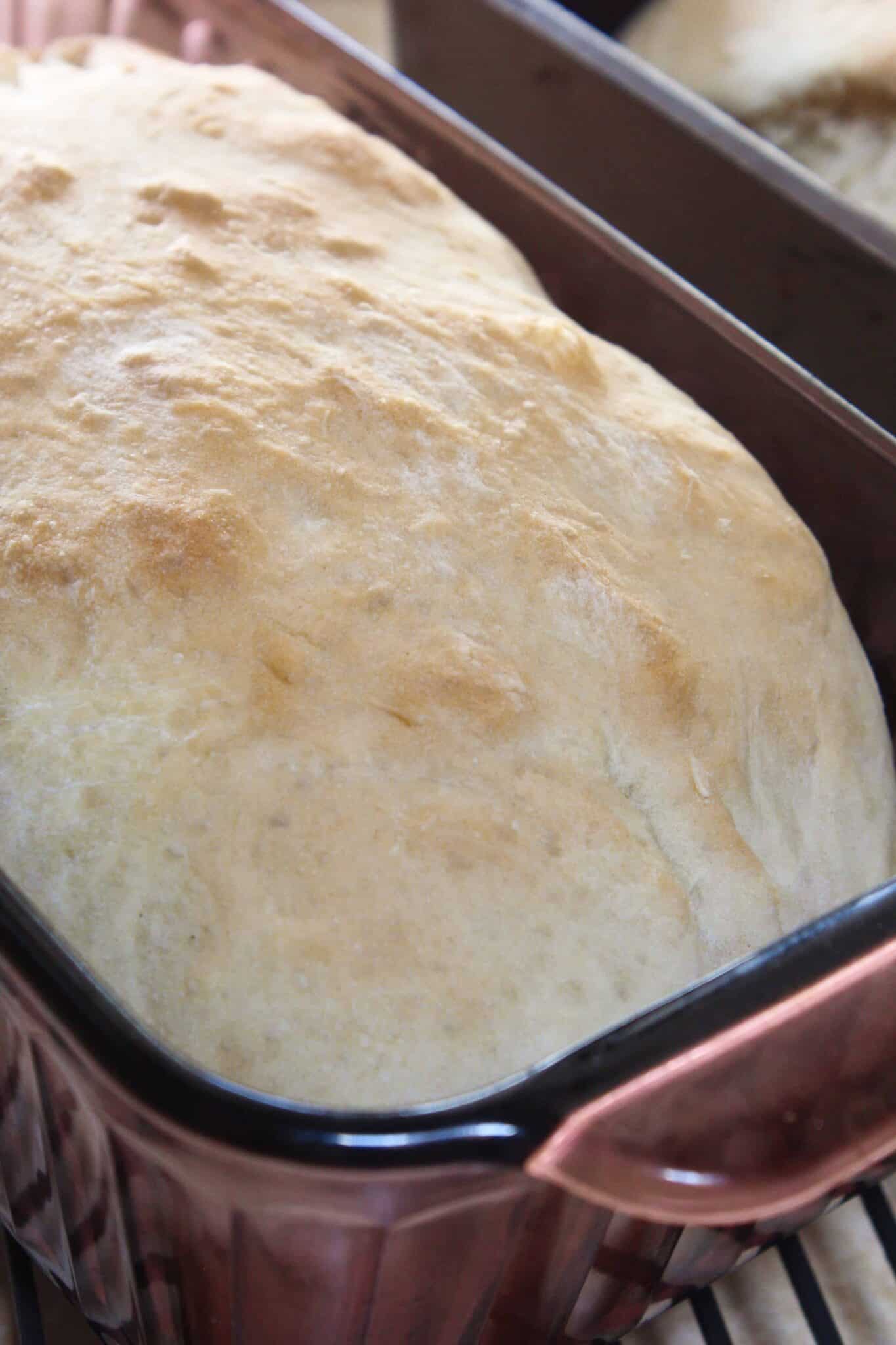 Quick One Hour Bread Recipe featured by top US food blog, Practically Homemade