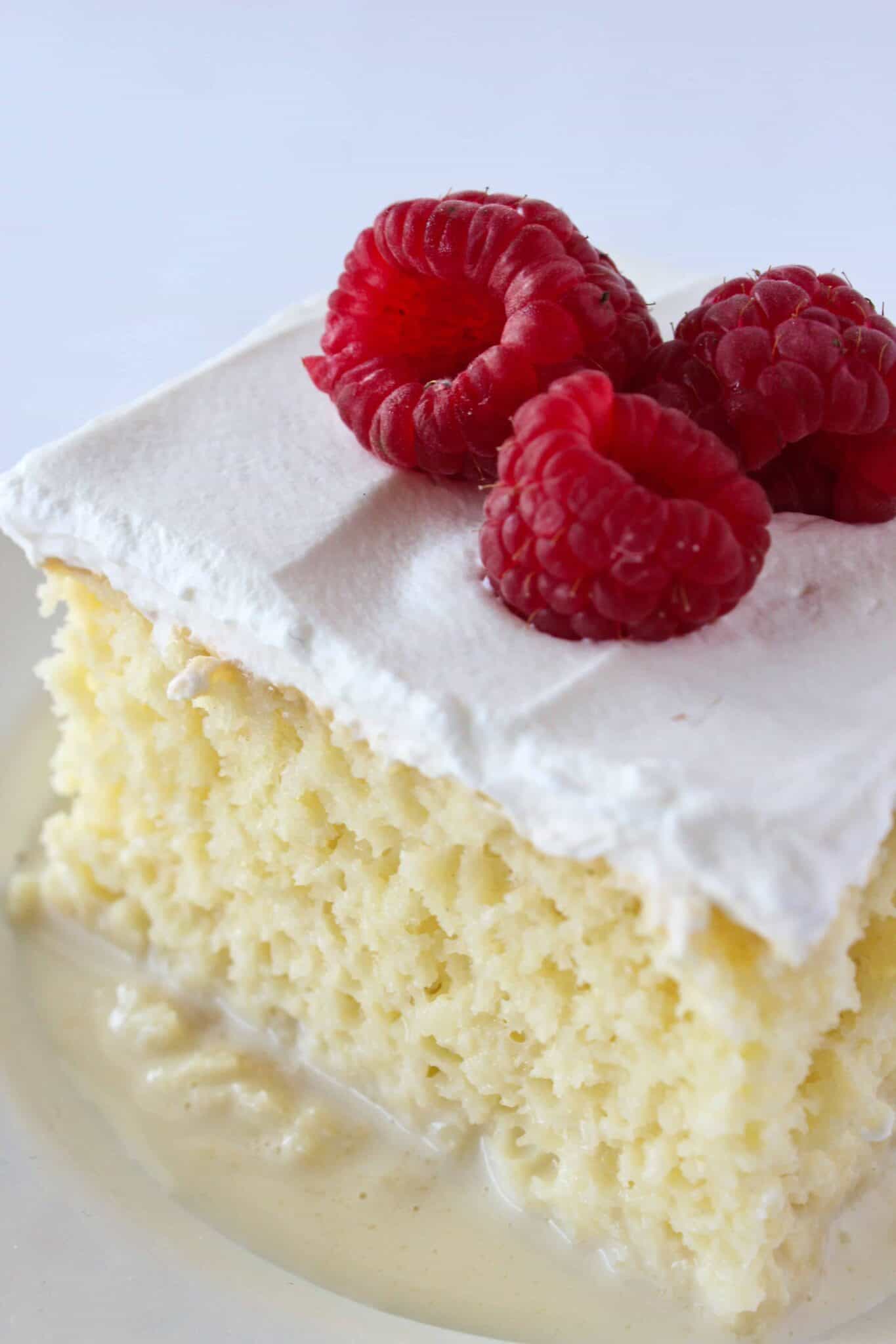 Tres Leches Cake with a Cake Mix featured by top US dessert blog, Practically Homemade