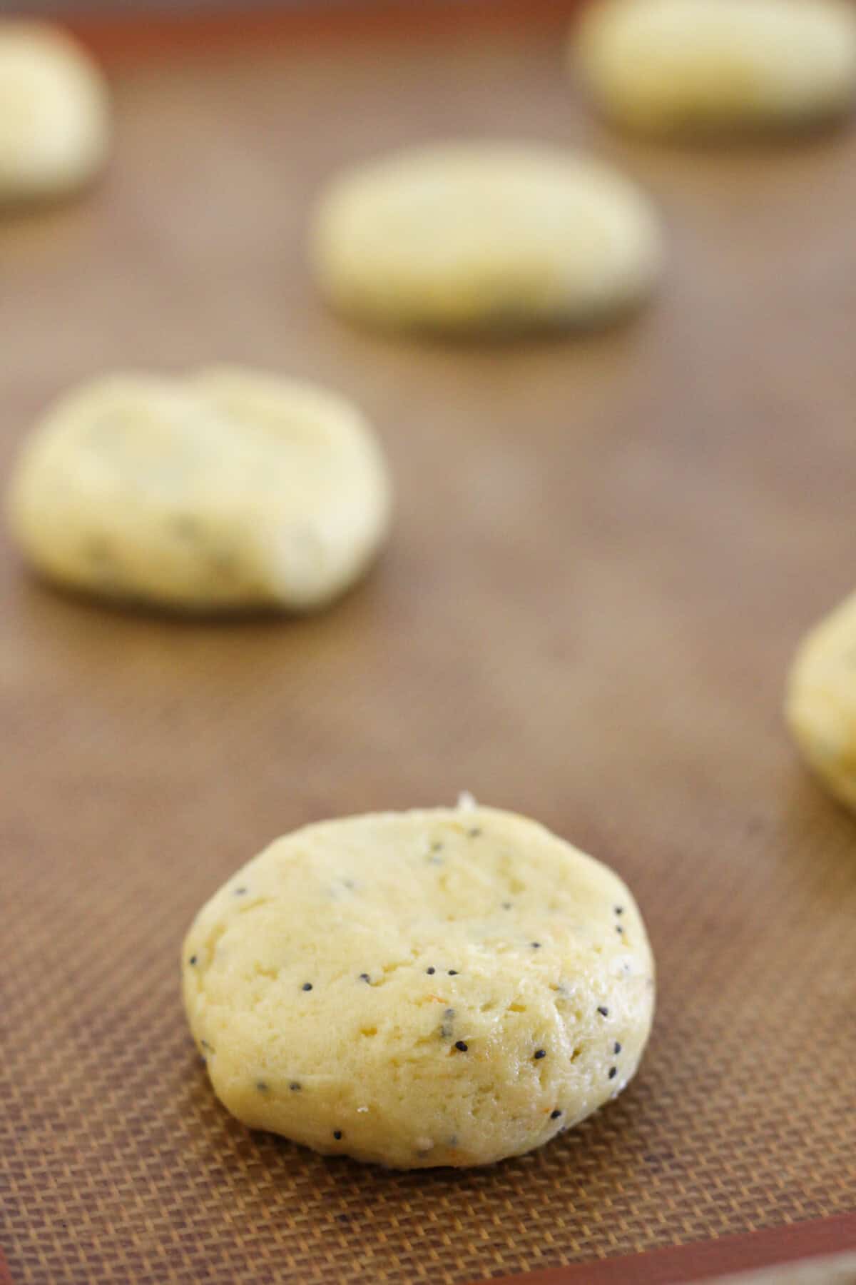 Lemon poppy seed cookie discs on a baking sheet.