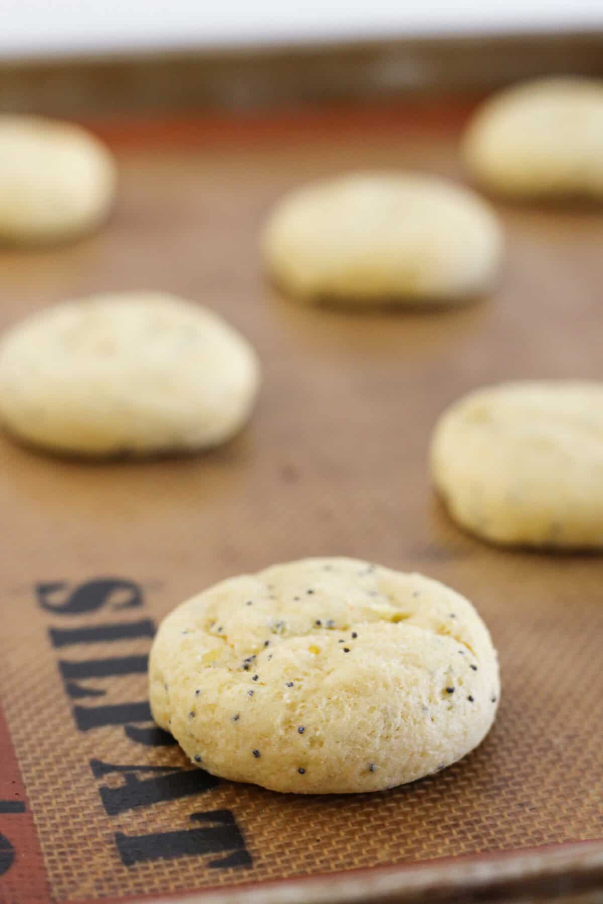 Baked lemon poppy seed cookies cooling on a cookie sheet.