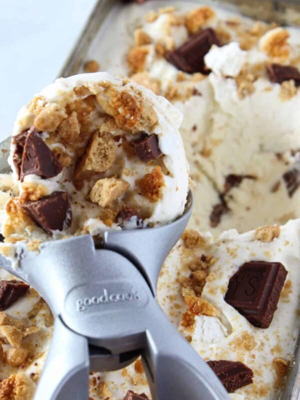 No Churn S'mores Ice Cream Recipe featured by top US dessert blog, Practically Homemade.