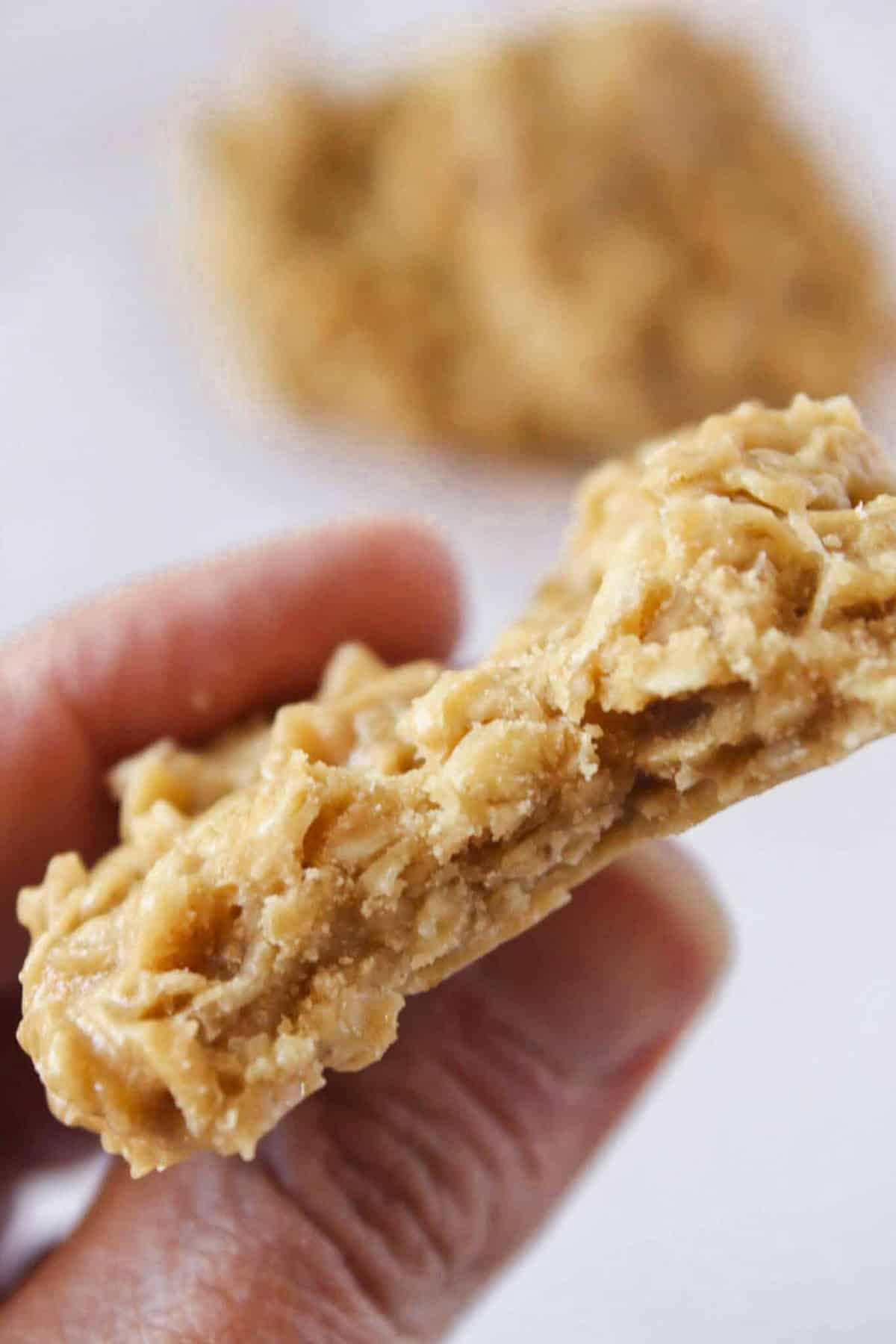 Taking a bite out of the no bake cookie butter cookie.