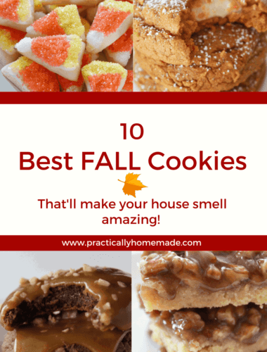 The Best Fall Cookies featured by top US cookie blogger, Practically Homemade.