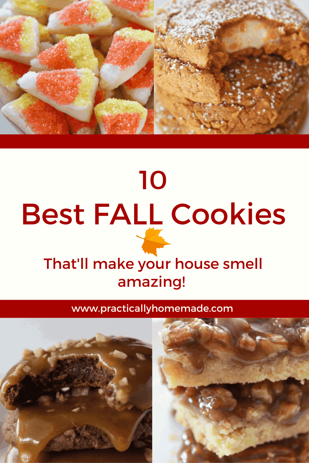 The Best Fall Cookies featured by top US cookie blogger, Practically Homemade. 