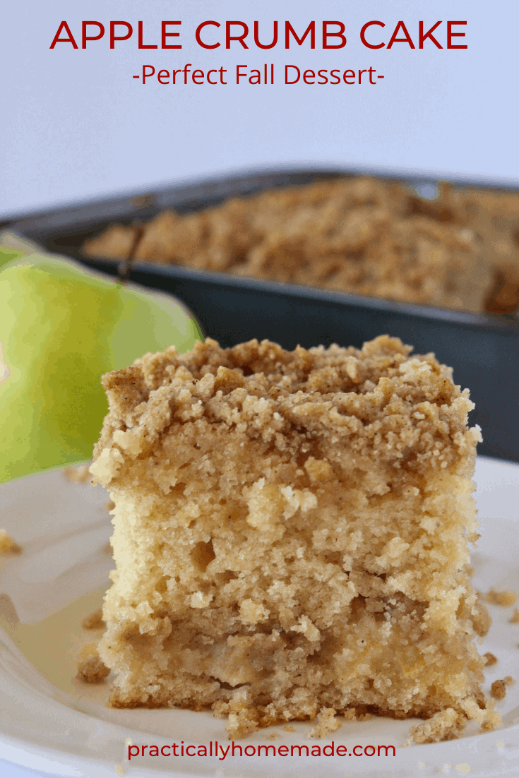 Fall Desserts: Apple Crumb Cake Recipe featured by top US desserts blogger, Practically Homemade