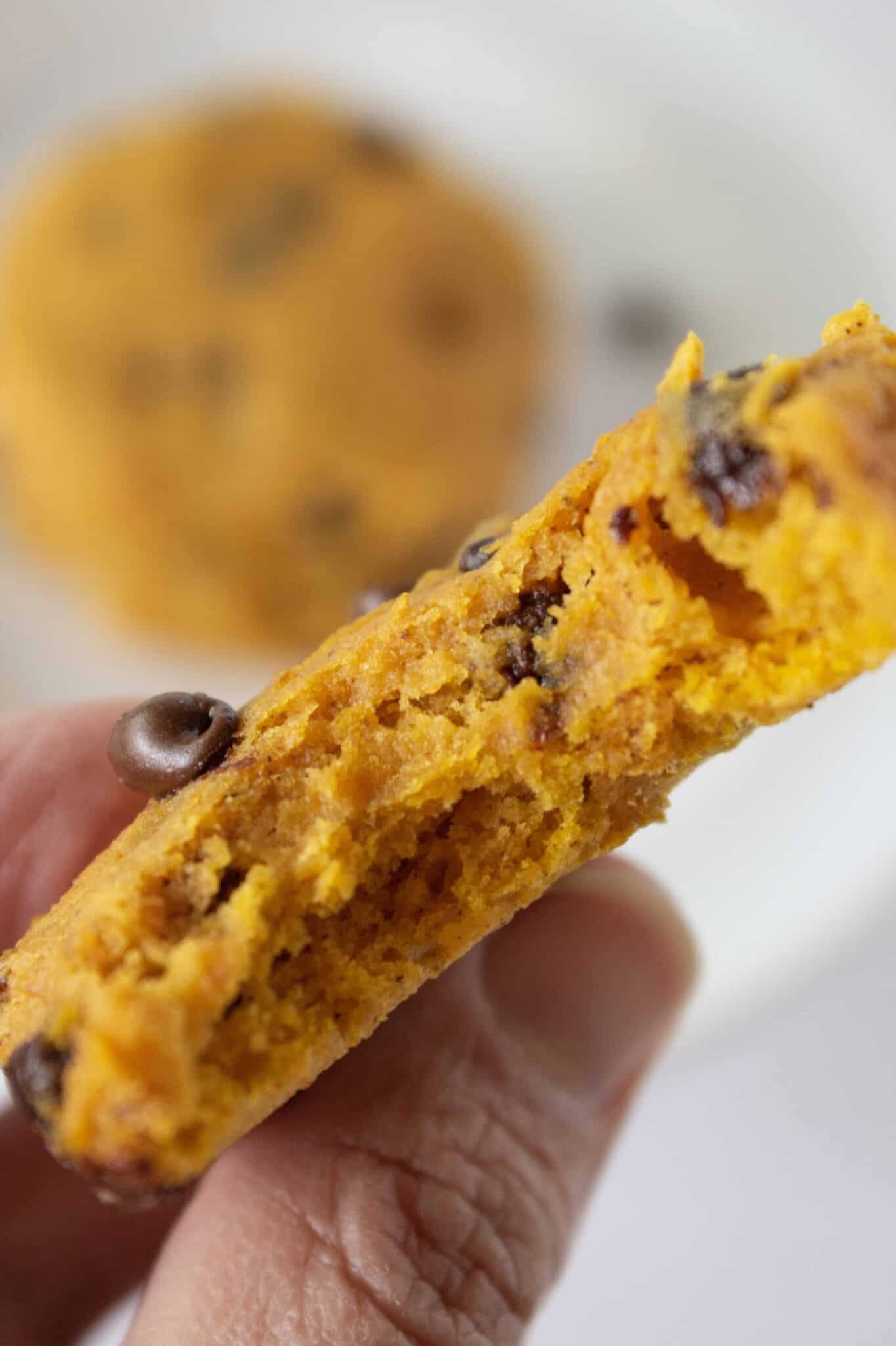 Pumpkin Chocolate Chip Cookies With Cake Mix Practically Homemade