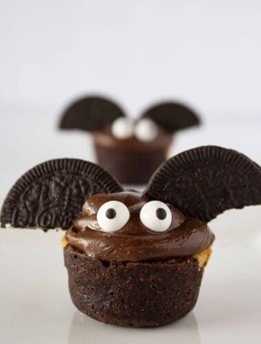 Spooky Brownie Bats Bites Recipe featured by top US dessert blogger, Practically Homemade