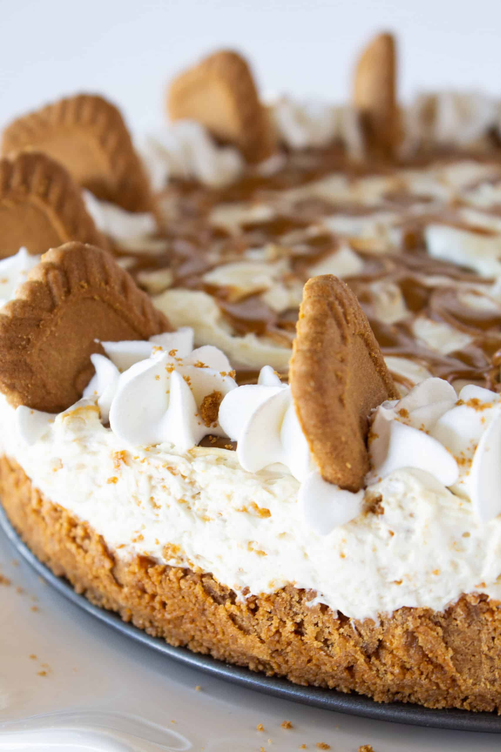 Cookie Butter No Bake Cheesecake Recipe featured by top US dessert blogger, Practically Homemade