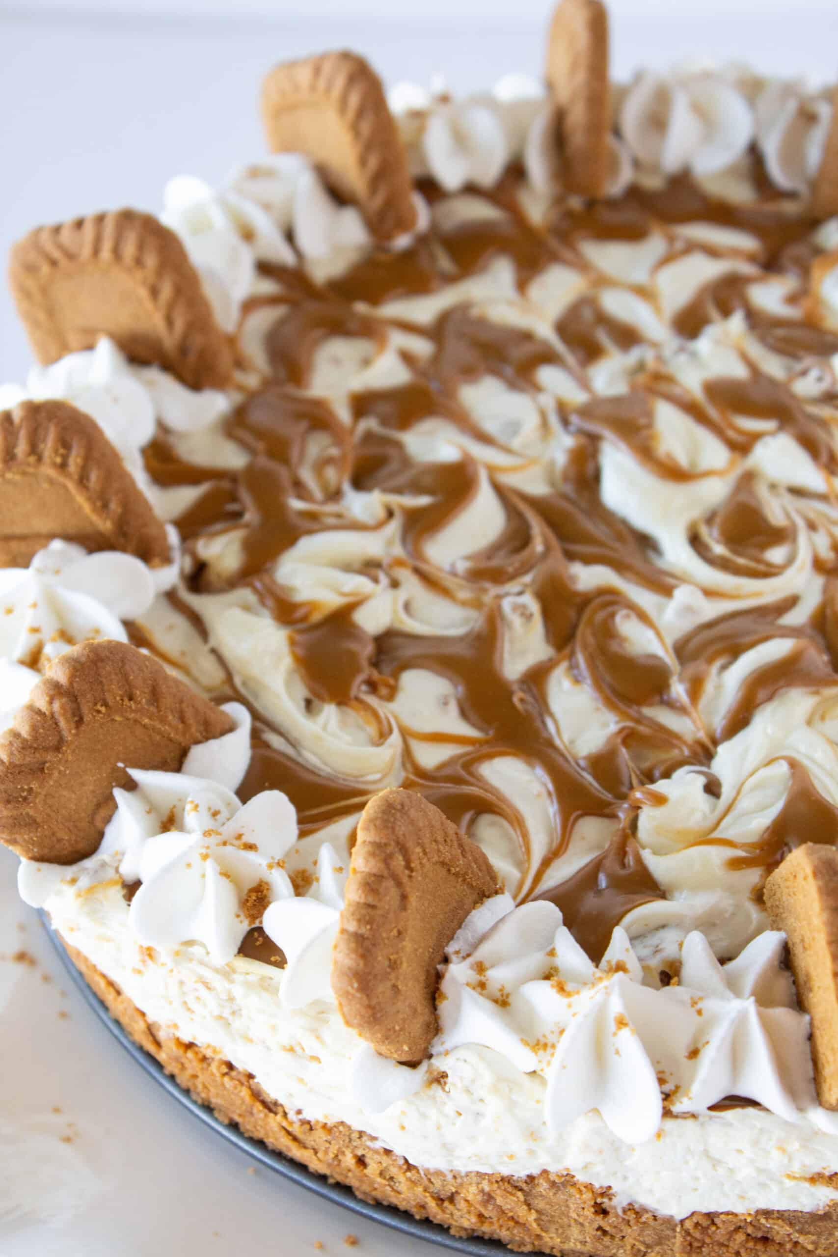 Cookie Butter No Bake Cheesecake Recipe featured by top US dessert blogger, Practically Homemade