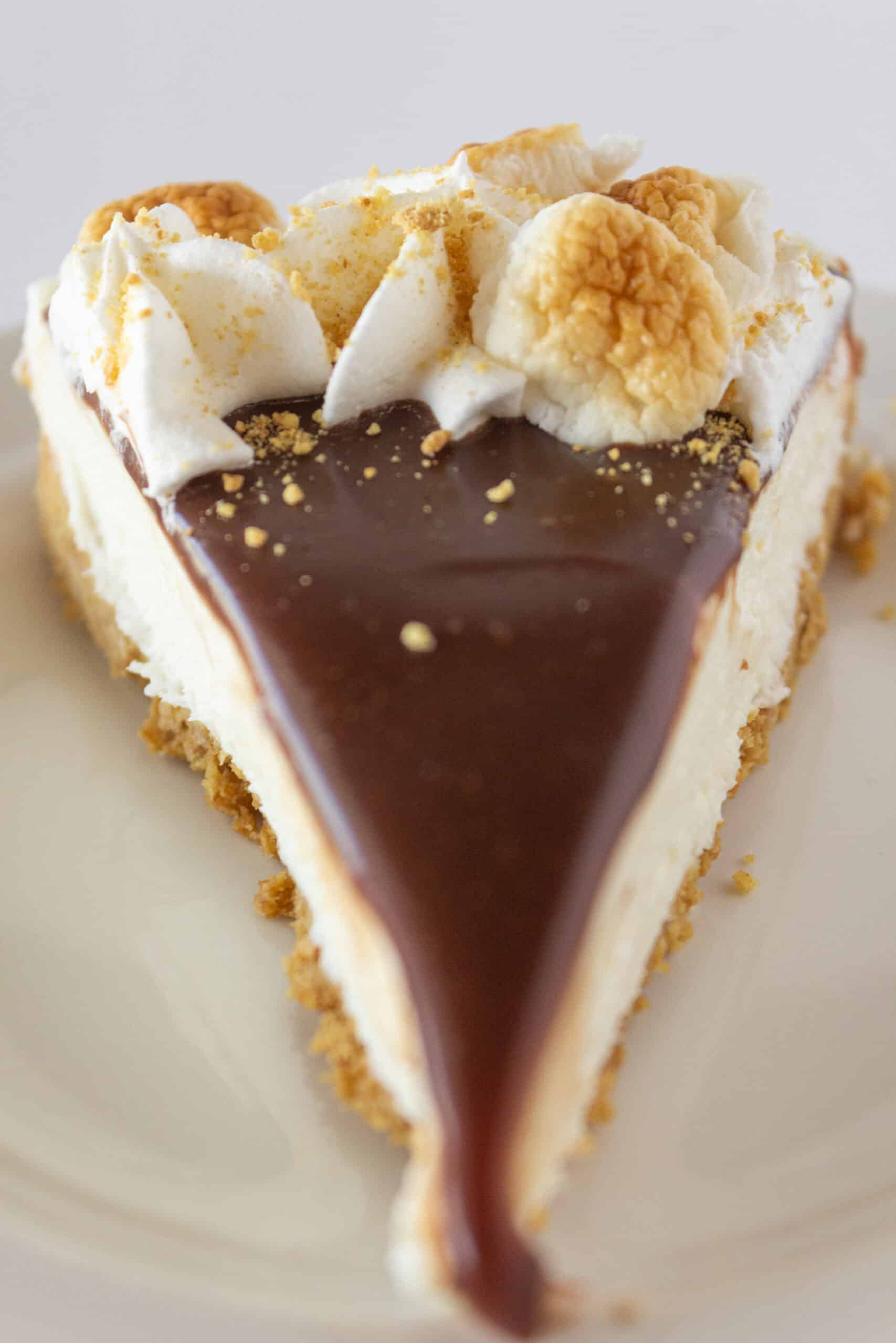 No Bake S'mores Cheesecake recipe featured by top US dessert blogger, Practically Homemade