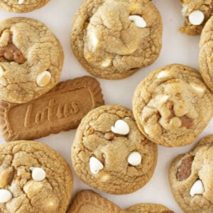 A dozen cookie butter cookies on a tray.