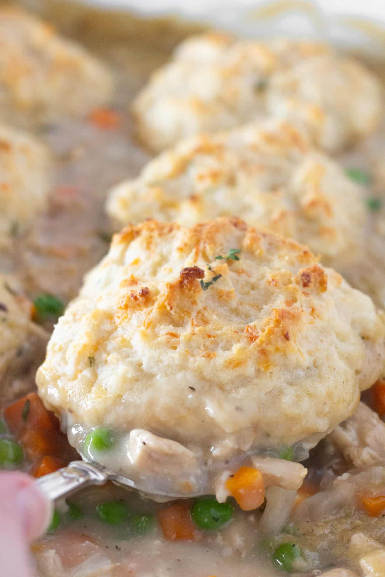 Easy Chicken and Biscuits Casserole Practically Homemade