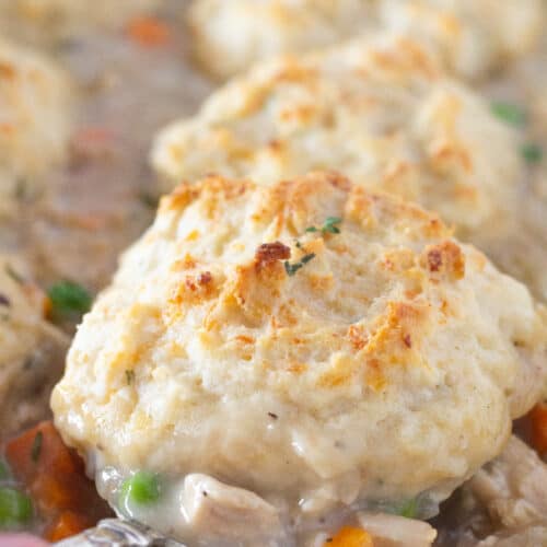 Easy Chicken and Biscuits Casserole with Bisquick mix, a recipe featured by top US food blogger, Practically Homemade