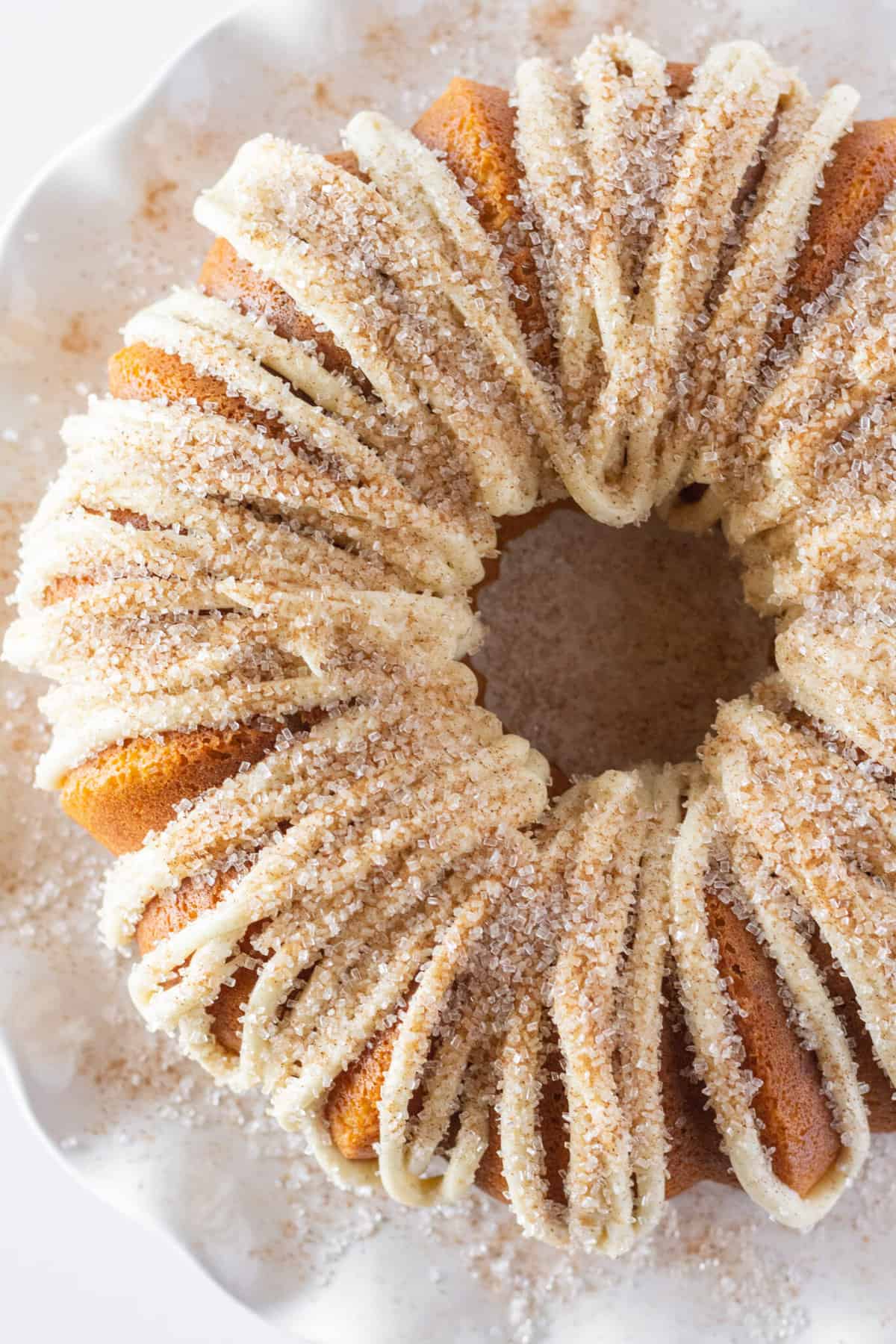 Looking at the top of a Snickerdoodle cake.
