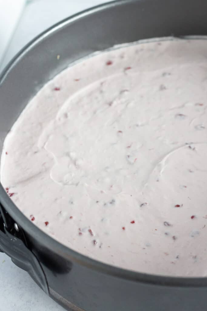 No bake berry cheesecake filling spread over the crust in a springform pan.