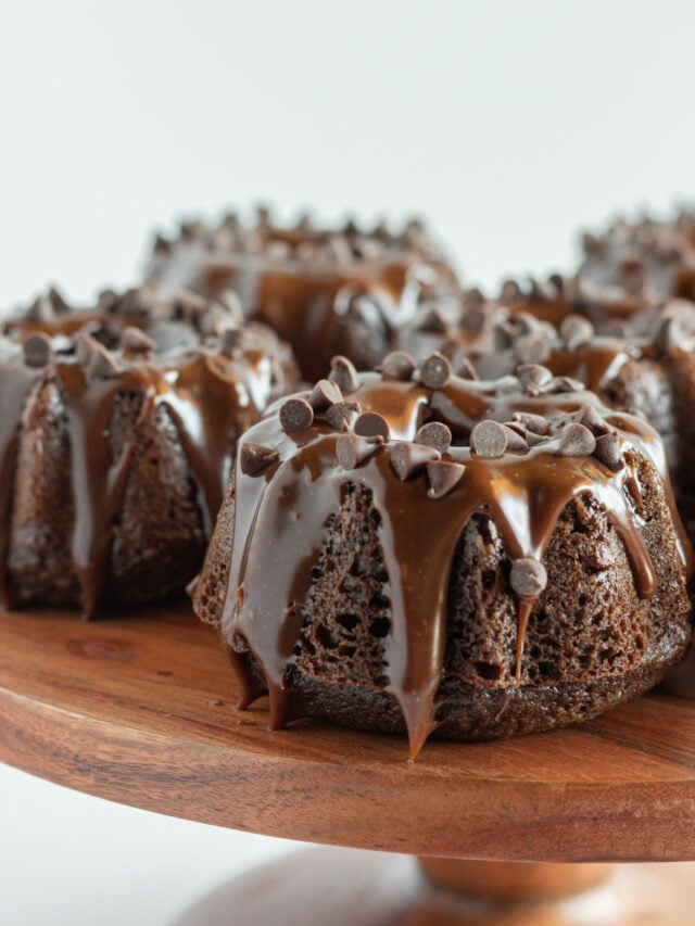 Mini Chocolate Bundt Cakes