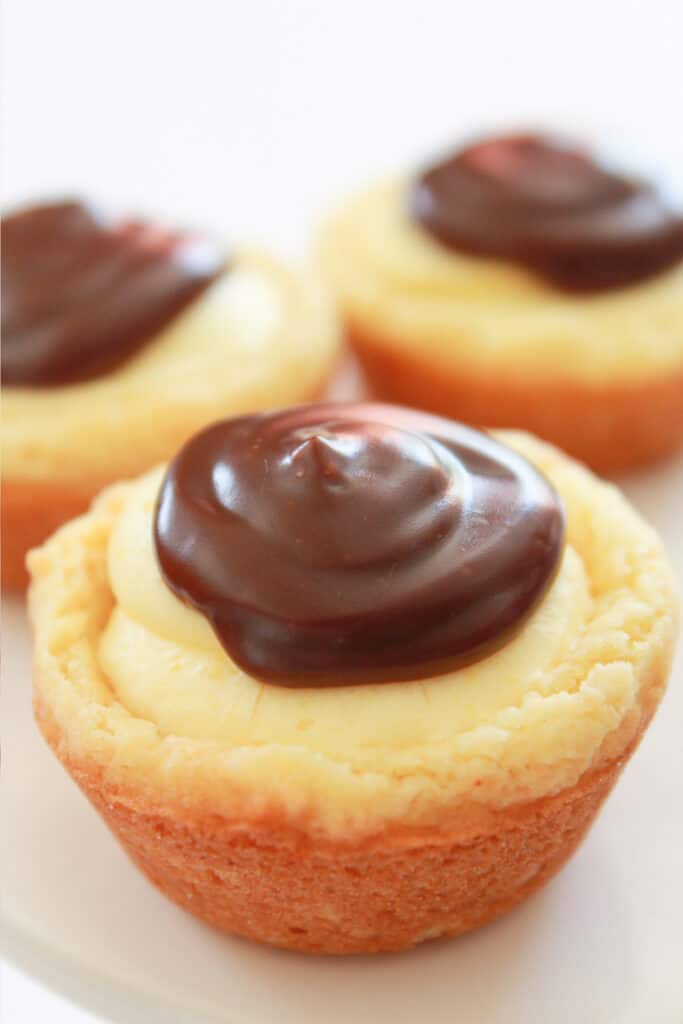Boston Cream Pie Cookie Bites with Chocolate Ganache