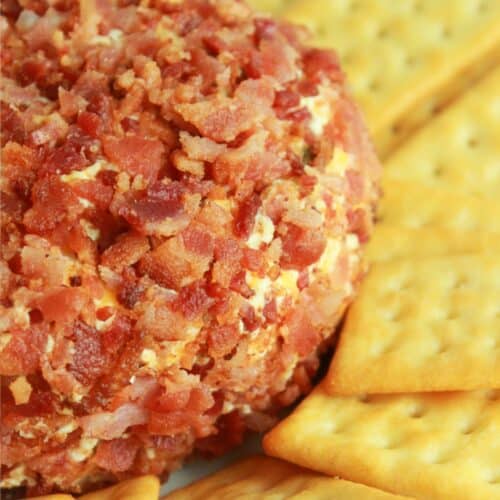 A bacon coated jalapeño popper cheese ball with butter crackers around it.