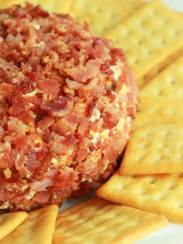 A bacon coated jalapeรฑo popper cheese ball with butter crackers around it.
