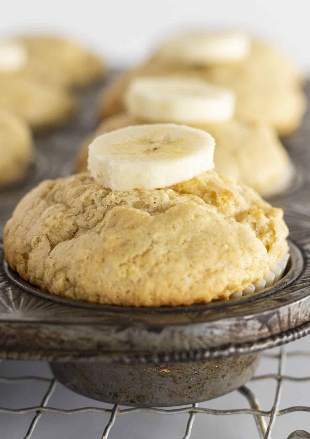 Bisquick Banana Muffins in a muffin tin with a fresh banana slice on top.
