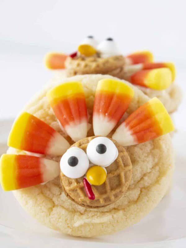 An up close photo of a cute turkey cookie.