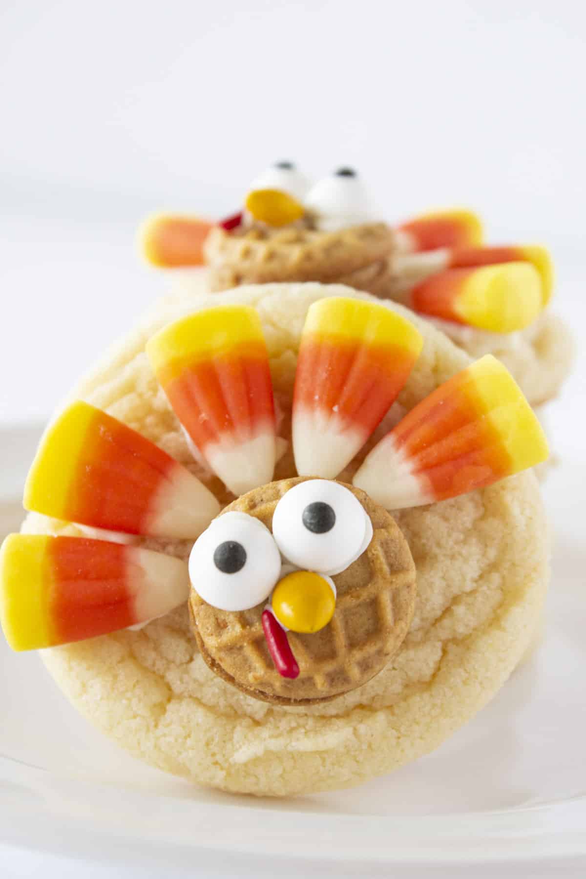 An up close photo of a cute turkey cookie.