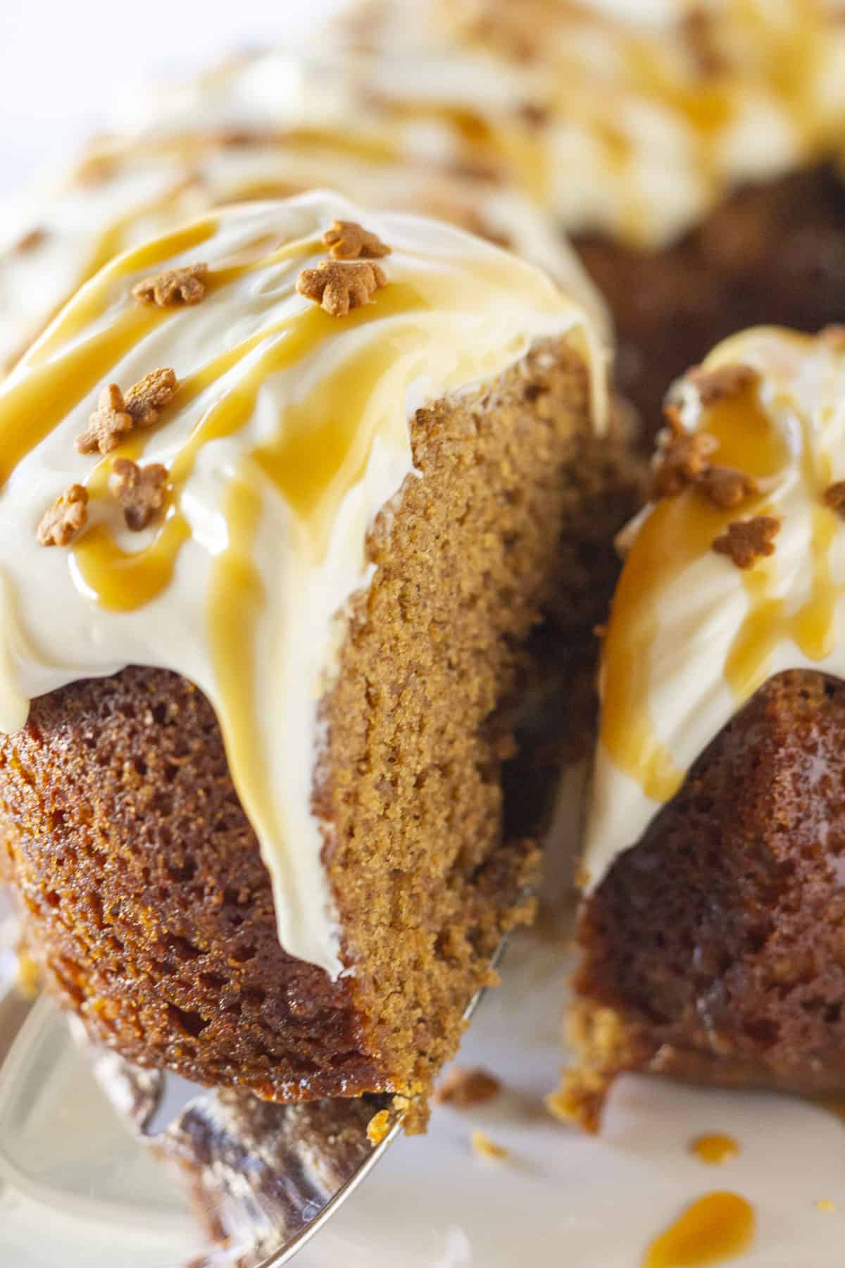 Gingerbread Bundt Cake (with Eggnog Whipped Cream) - A Beautiful Plate