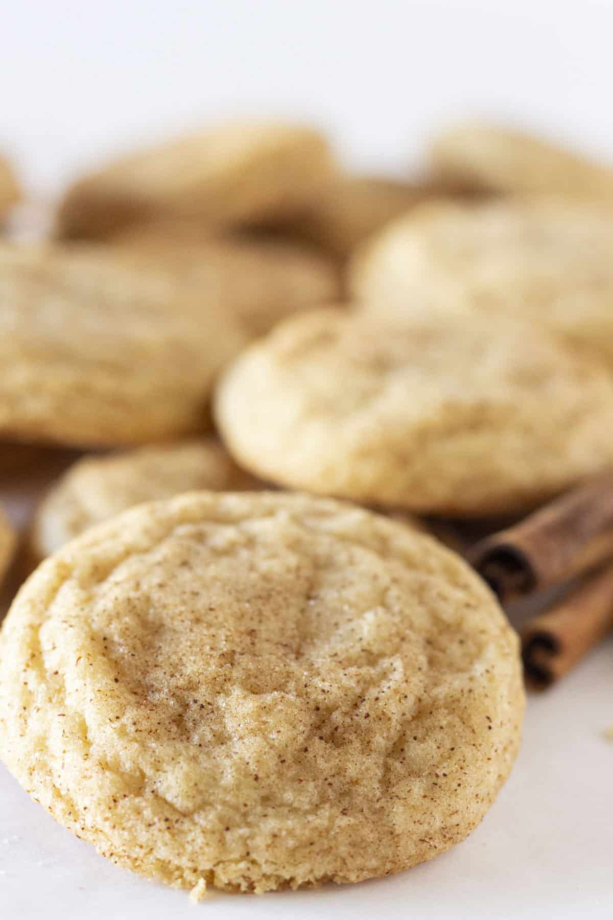 A dozen snickerdoodle cookies on a white tray.