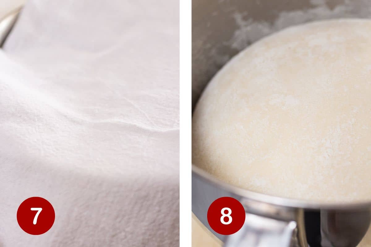 Cover and allow the dough to rise until it is doubled in size.