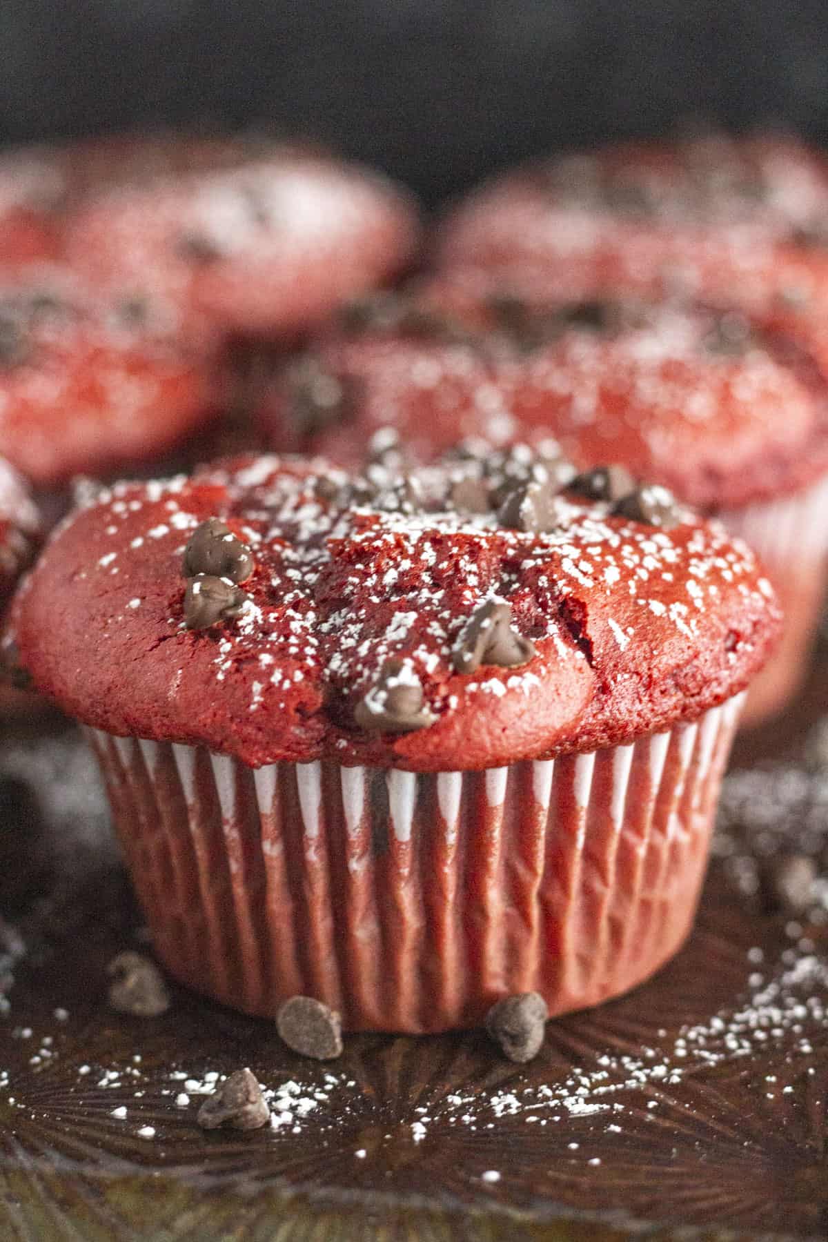 Red Velvet Muffins on a tray with powdered sugar and chocolate chips.