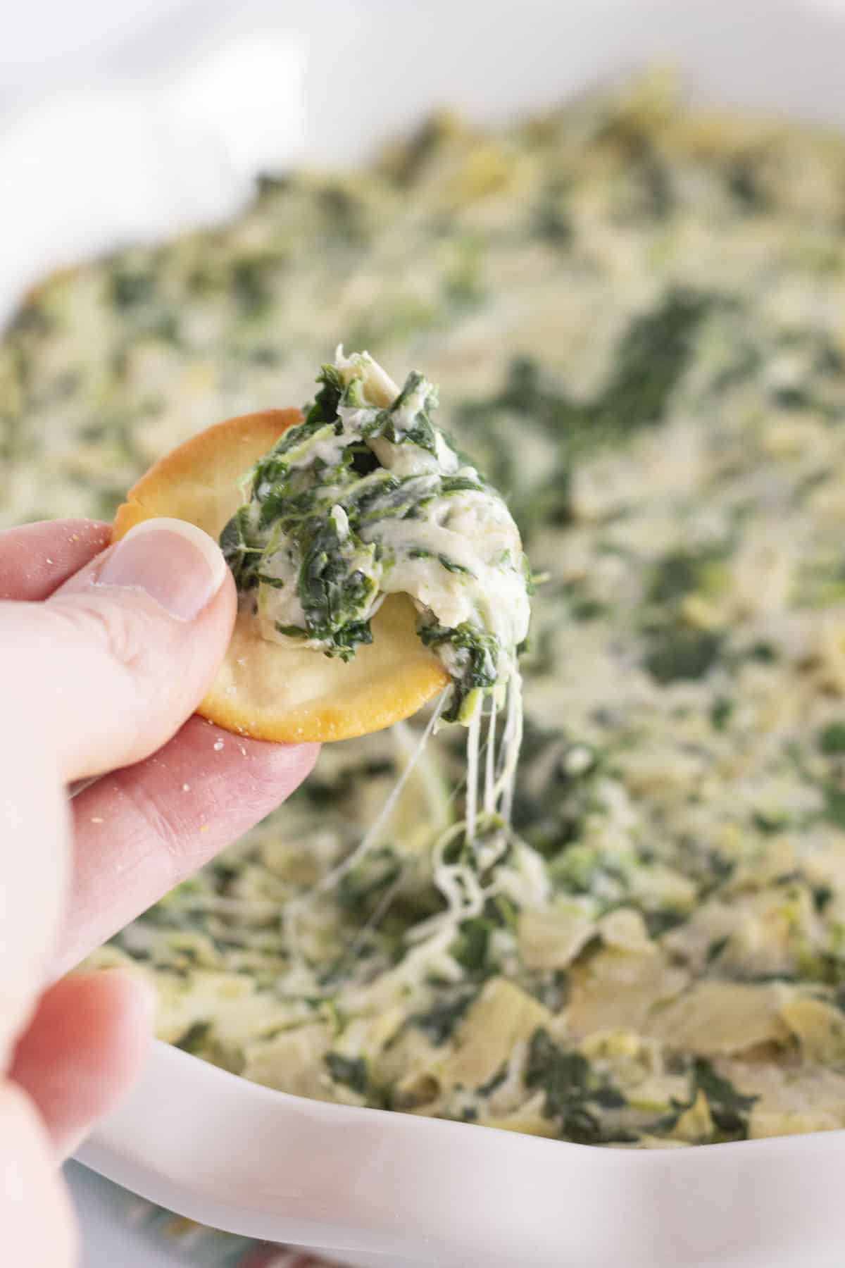 Taking a scoop of spinach and artichoke dip without mayo.