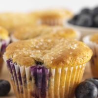 Blueberry cake mix muffins on a tray and ready to serve.