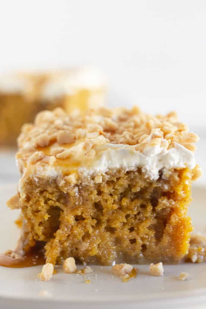 The Best Pumpkin Poke Cake with Caramel - Practically Homemade