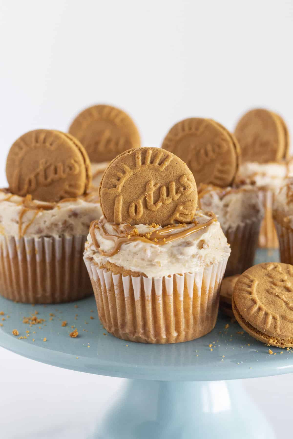 A half dozen Biscoff cupcakes on a blue cake plate.