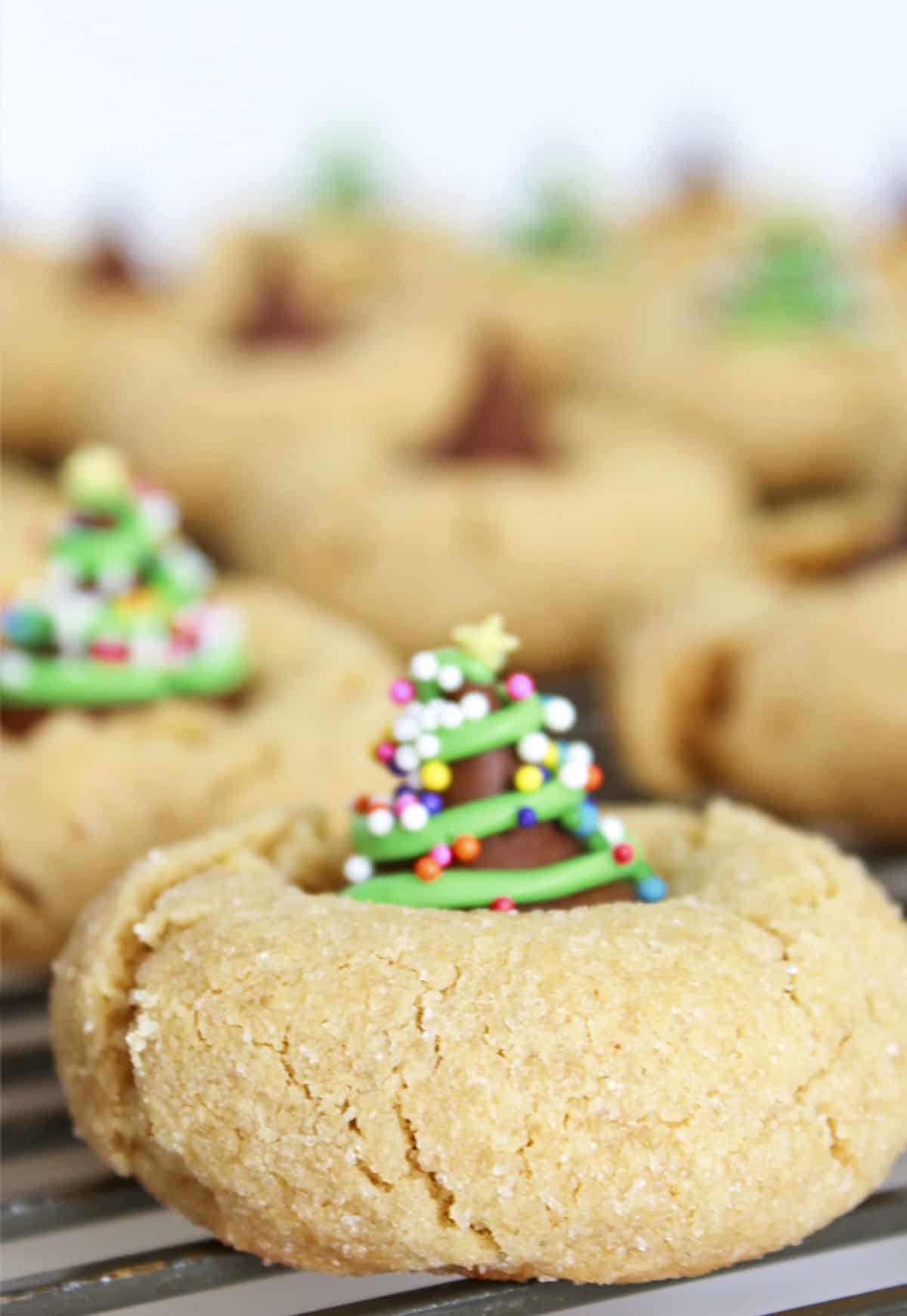 Biscuits au beurre de cacahuète sur une grille de refroidissement avec certains des chocolats décorés en arbres.