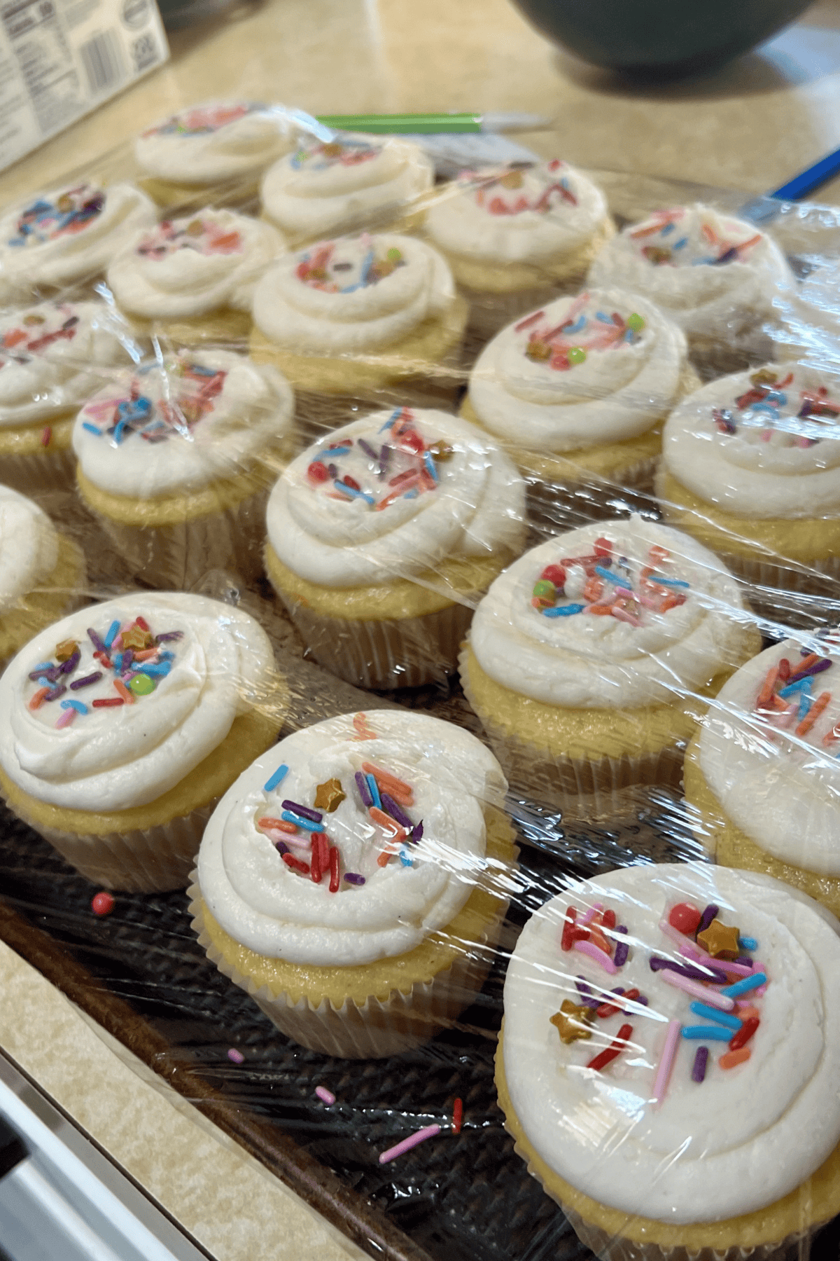 Cupcakes on a tray covered in plastic wrap.