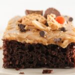 A piece of chocolate peanut butter on a cake.