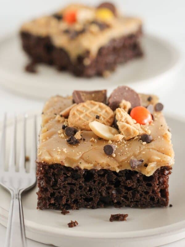 Two pieces of peanut butter chocolate cake on plates.