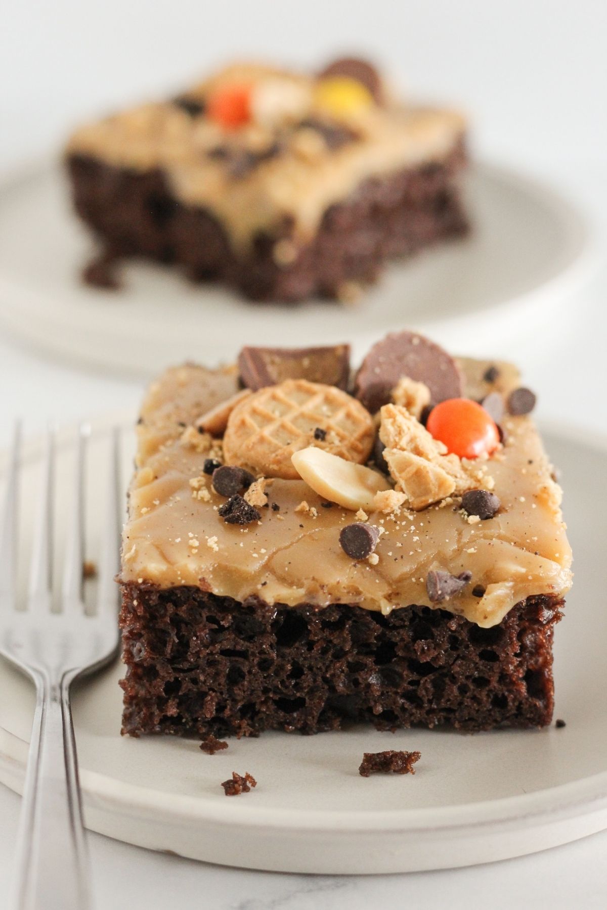 Two pieces of peanut butter chocolate cake on plates.